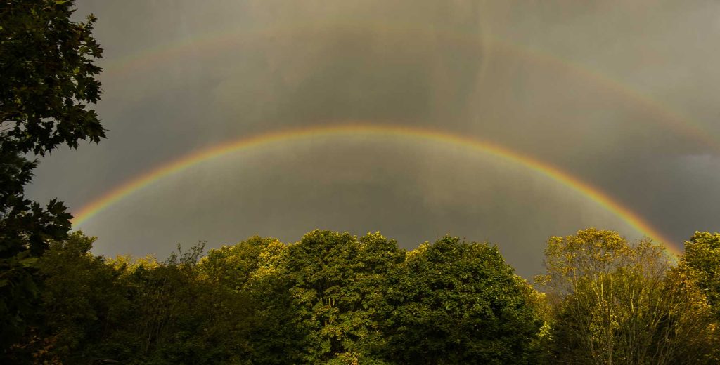 Double rainbow over trees.
