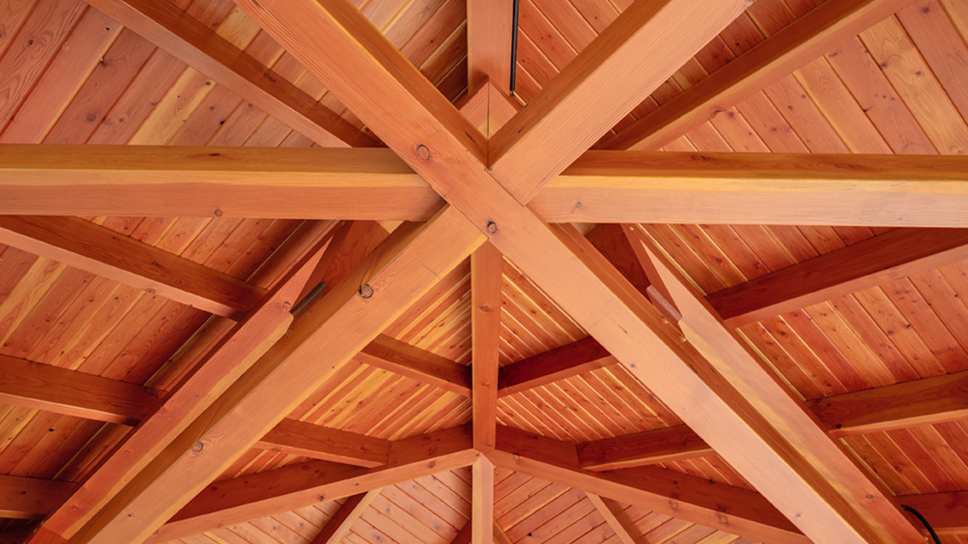 Dharmakaya Center for Wellbeing Pavilion (timber frame close-up view)