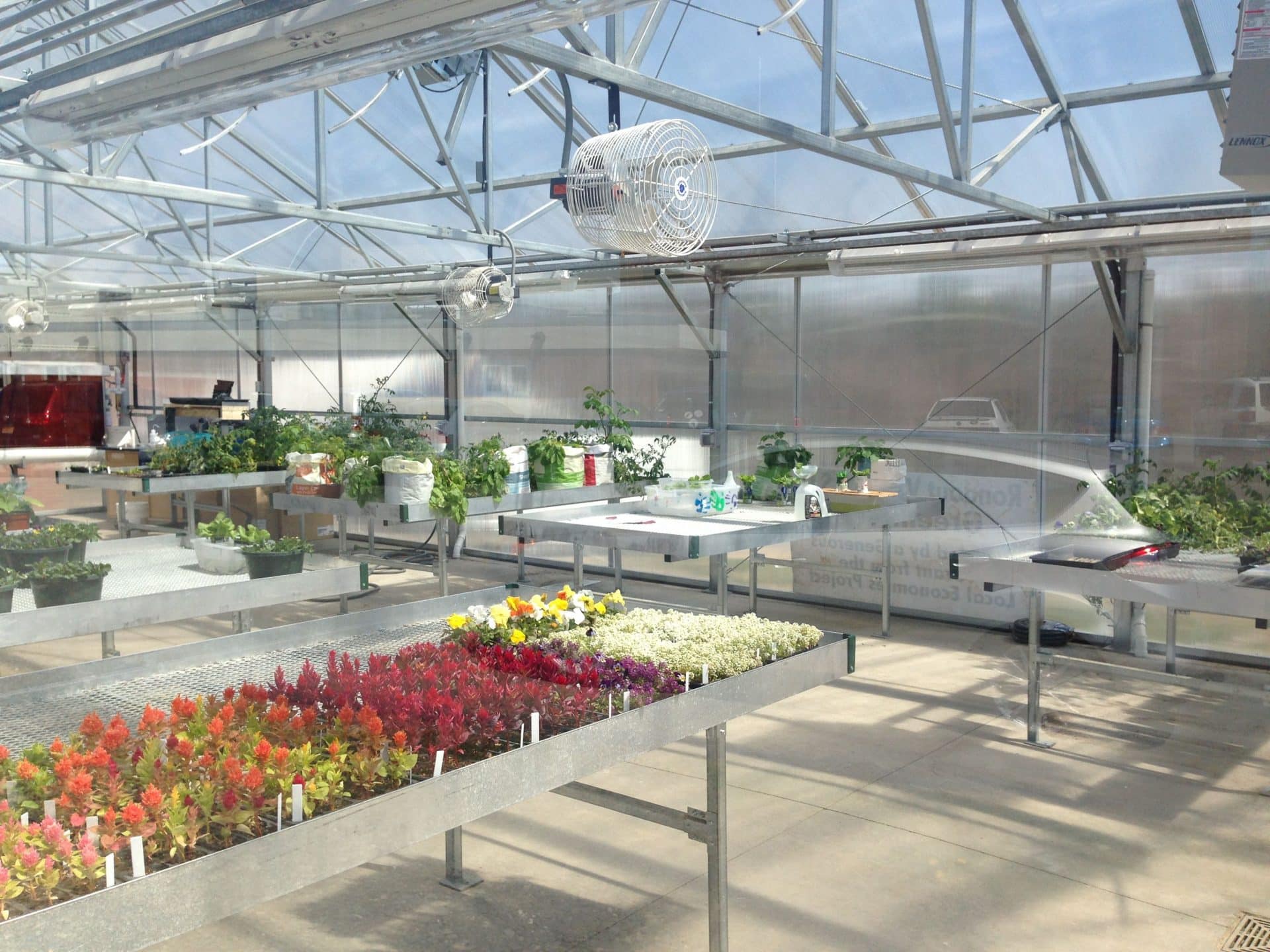 Image of green house.